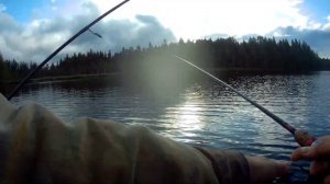 Рыбалка в Карелии на малой воде. Щуки на заливах. Спиннинг в сентябре. #рыбалка #карелия #подпишись