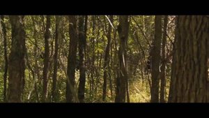 BIG LEGEND 2 Trailer (2019) - Horror Movie | FANMADE HD