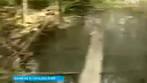 Спасаясь от бродячих собак, ребенок упал в кипяток