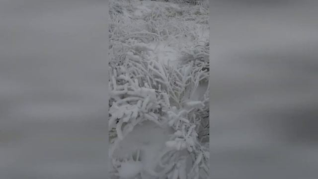 Потрясающая зима\Стихи о зиме, автор Лариса Кузьминская
