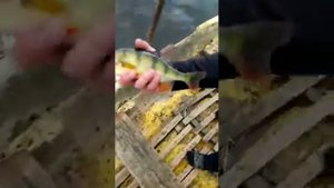 Аграханский залив