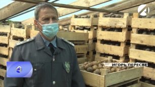 Управлением Россельхознадзора в Астраханской области проконтролирована крупная партия картофеля