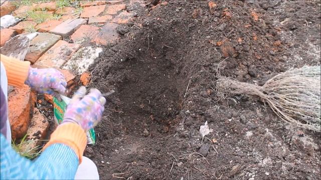 Протыкиваю джутом между рядами бруса/И снова покупки саженцев//Наталья Харитонова смотреть онлайн