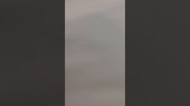 Эстетическая косметология. Альгинатные маски. смотреть онлайн