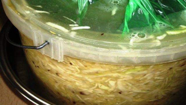 Квашеная капуста с семенами укропа. Квашеная капуста рецепт с укропом семенами. Квашеная капуста рецепт с укропом семенами. Квашеная капуста с семенами укропа. Молоканская капуста.