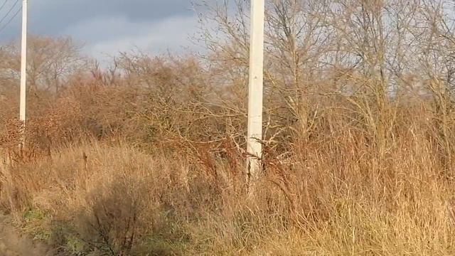 ✔️ НЕ Дорогой  участок 10 сот - в   НАТУХАЕВСКОЙ