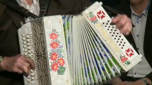 Страдания на гармони,15 фестиваль в Ваболе