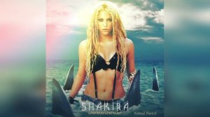 Shakira - Whenever, Wherever (KaktuZ RemiX)