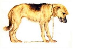 Багаж - стихотворение С. Маршак Детские стихи Samuel Marshak's poem