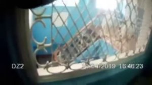 вот что творится в Ик11 гор Сургут