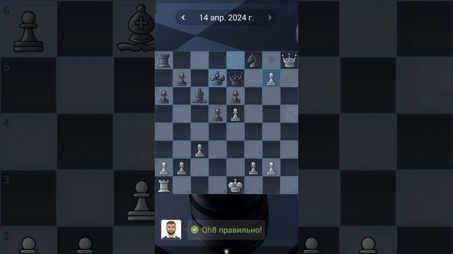 11. Chess quests #shorts