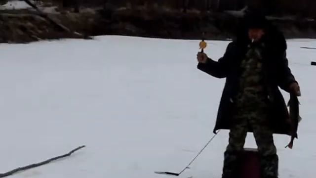 Трофейный ленок 2,2 кг на удочку Забайкальский край смотреть онлайн