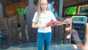 7 СЕКУНД ЧЕЛЛЕНДЖ  (Конная версия) ВЫЗОВ ПРИНЯТ / Коноблог