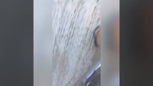 Звук Явы 634 без флейт