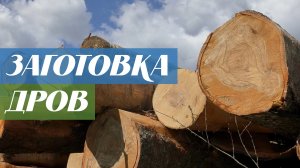 Заготовка дров в деревне