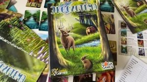 Настольная игра «Экосистема». 10+