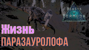 НЕ ТРОНЬТЕ МАЛЫША ПАРИКА! ПОЛНАЯ НЕРАЗБЕРИХА! Beasts of Bermuda