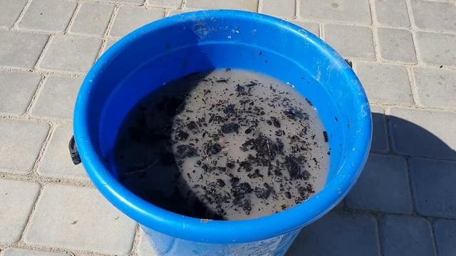 Хорошие подкормки для помидор. Обязательно чередуйте