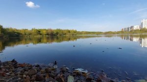 #Россия река Мерянка Большой южный пруд (4K)