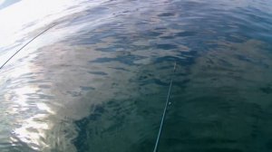 рыбалка с лодки в Крыму на море ловля селёдки пикши окуня хамсы ставриды