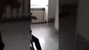 как правильно мыть полы.урок 3
