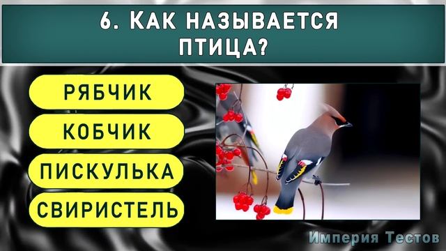 КАКОЙ У ВАС ИНТЕЛЛЕКТ? Тест на эрудицию #насколькостарвашмозг  #викторинаназнание. Империя тестов