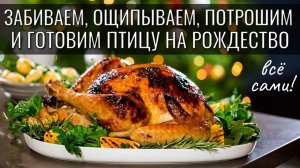 Забиваем, ощипываем и потрошим курочку (индюшку) на Рождество. Своими руками