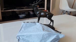 Чудеса случаются!!!