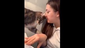 Девушка сделала кусь коту (uu)