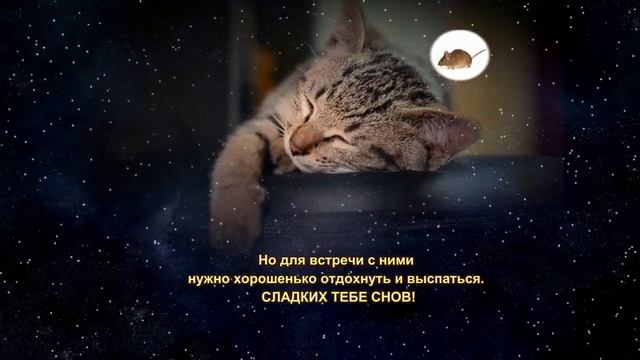 СПОКОЙНОЙ_НОЧИ?СЛАДКИХ_СНОВ?МУЗЫКАЛЬНАЯ_ОТКРЫТКА_ДЛЯ_ДРУЗЕЙ.mp4