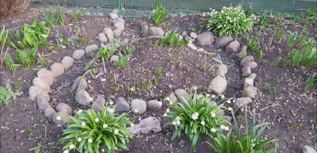 Весенние цветы 2023