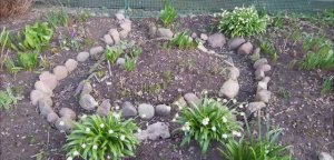 Весенние цветы 2023