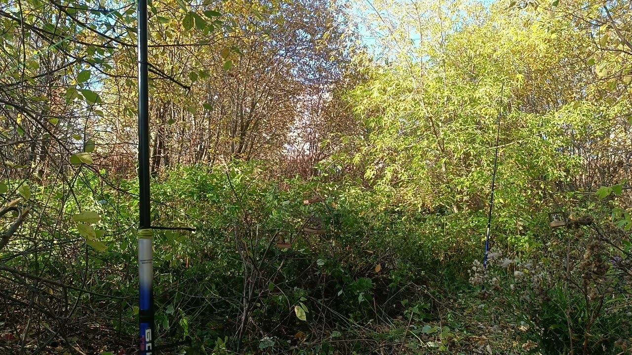 Ловля на воде, первая часть.24.09.2023. смотреть онлайн