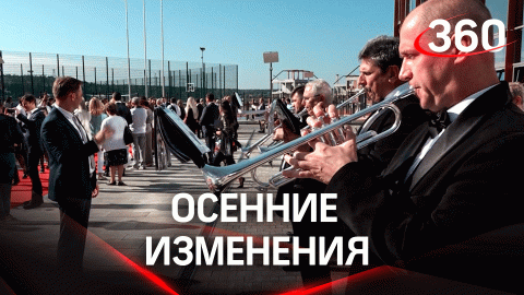 Наручники для авиадебоширов и российский гимн в школах: что меняется 1 сентября