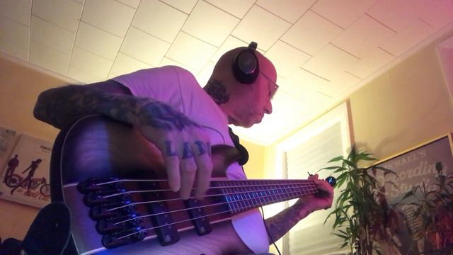 Rikki Don’t Lose That Number(Steely Dan)#basscover🎸IBANEZ-SR5 смотреть онлайн