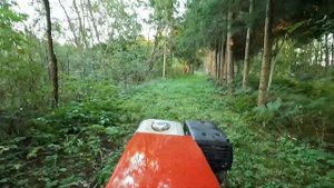 Мостик через канаву для мотоблоков.В гости к бобрам.