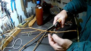 Подготовка черенков для посадки в школку осенью