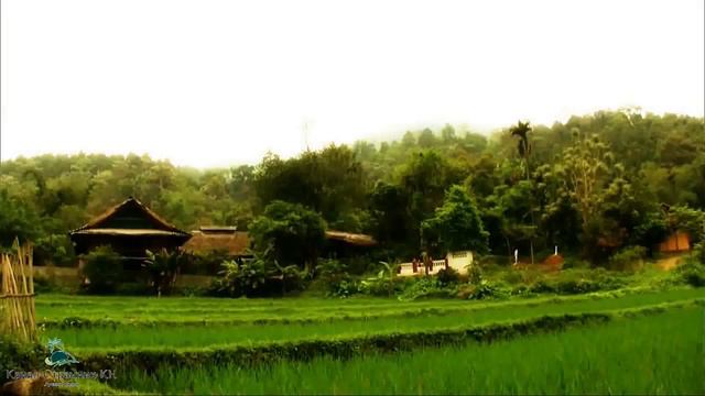 Великолепный Вьетнам. Сладкие курорты для туристов. смотреть онлайн