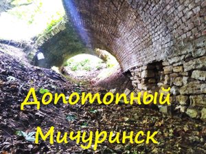 Допотопный Мичуринск