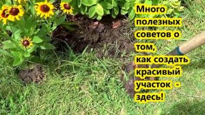 ??? Как обработать край цветника лопатой - ландшафтный дизайн