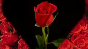 Сая,сая розалар.Снежана Даваа