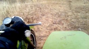 Урал Зверь.