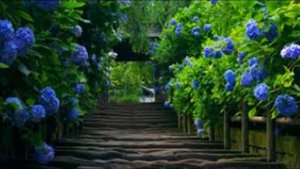 Японская природа