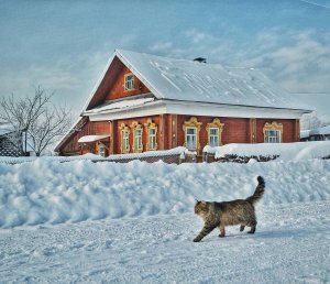 Белые стихи. Сергей  Михалков.