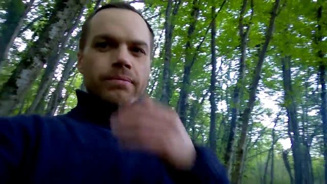 Как не замёрзнуть в лесу. смотреть онлайн