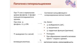 Патология МАКРО элементов в нашем организме