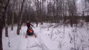 СТЕЛС КАПИТАН и ИРБИС СФ