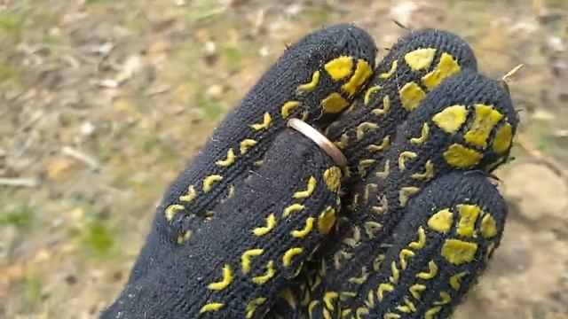 НАШЕЛ ЗОЛОТО! ПОИСК МОНЕТ И МЕТАЛЛОЛОМА НАХОДКИ С МЕТАЛЛОИСКАТЕЛЕМ КОП В ЛЕСУ 2020 смотреть онлайн