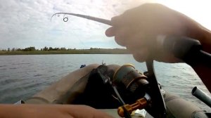 Ловля хищника с лодки в коряжнике. Щука и окунь на джиг в июле.