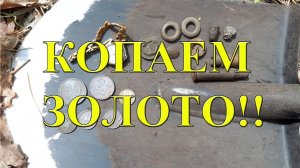 Этот лес не перестаёт удивлять!! Копаем золото!!